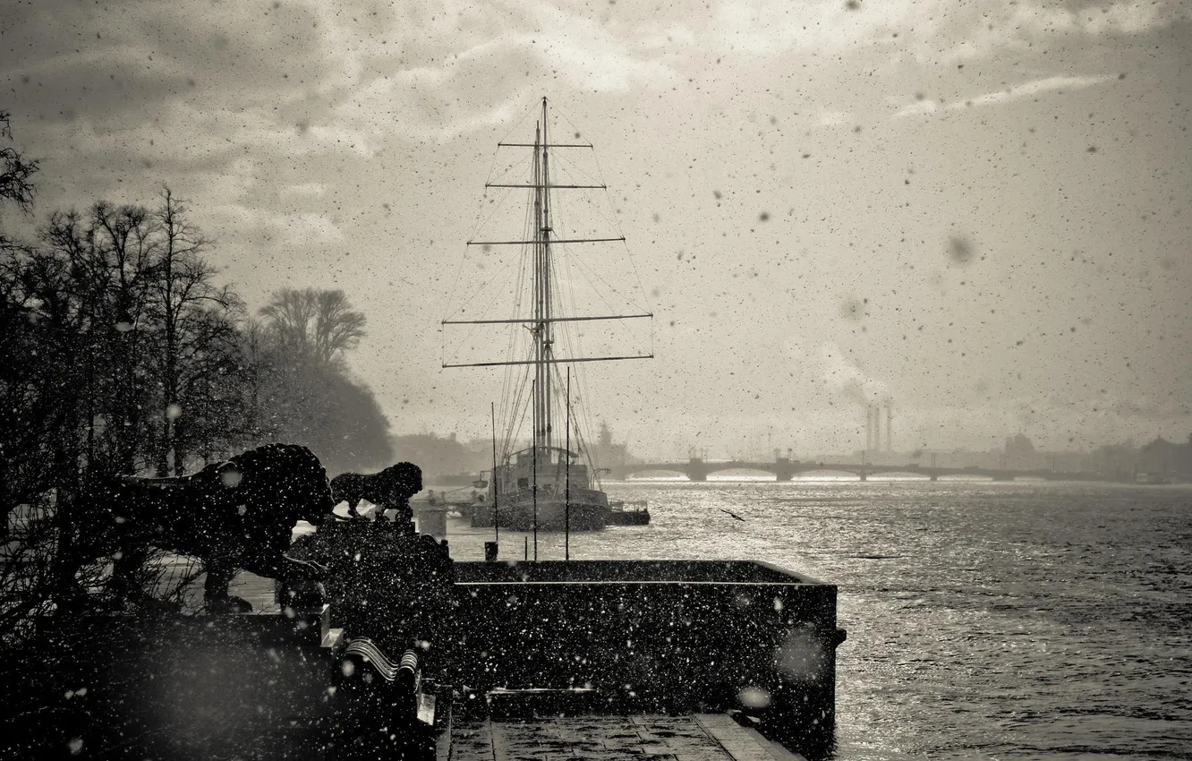 Photo wallpaper storm, river, ship, Russia, Peter, Saint Petersburg, Neva, St. Petersburg