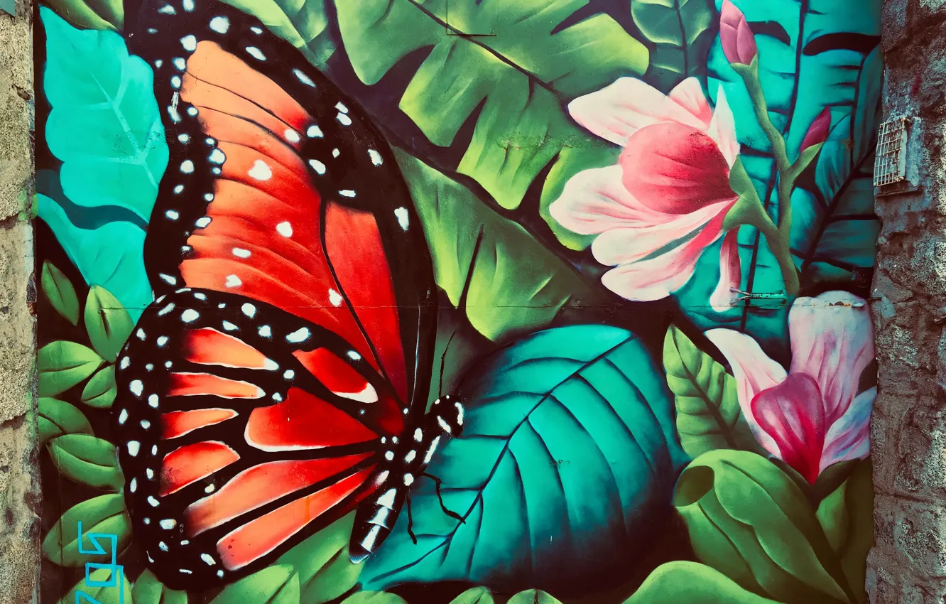Photo wallpaper butterfly, graffiti, figure