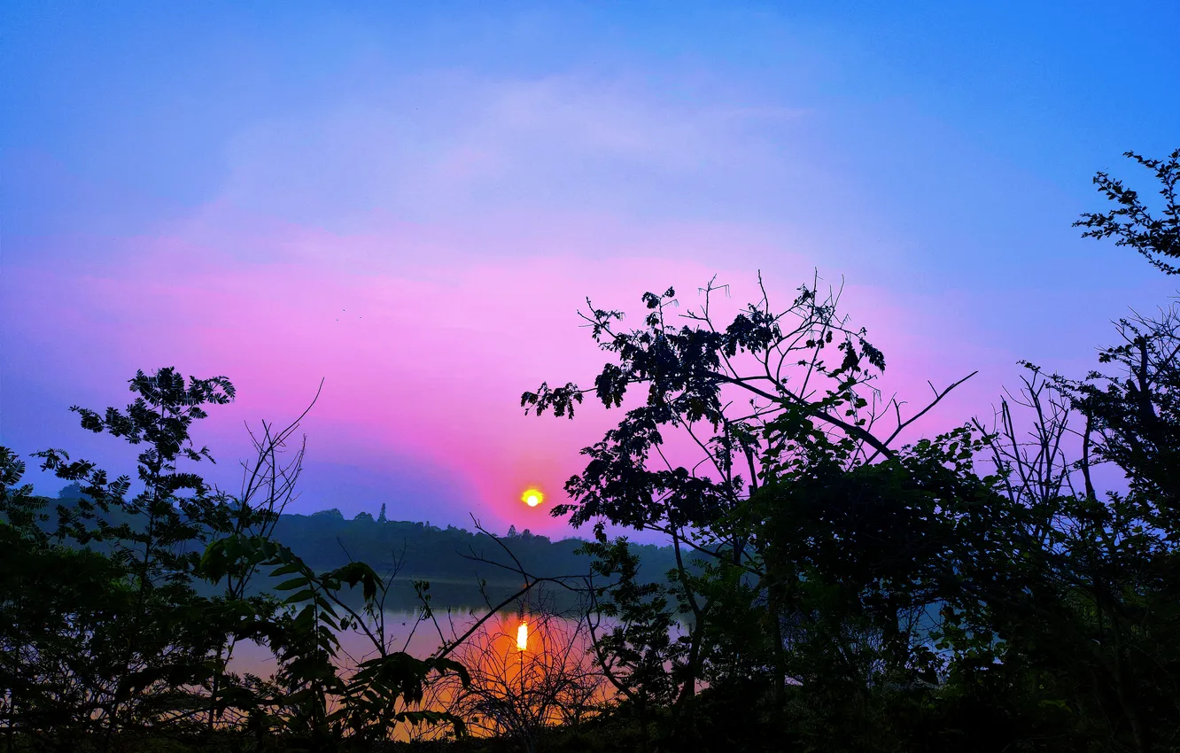 Photo wallpaper trees, water, lake, morning, sun, sunrise, dawn, woods