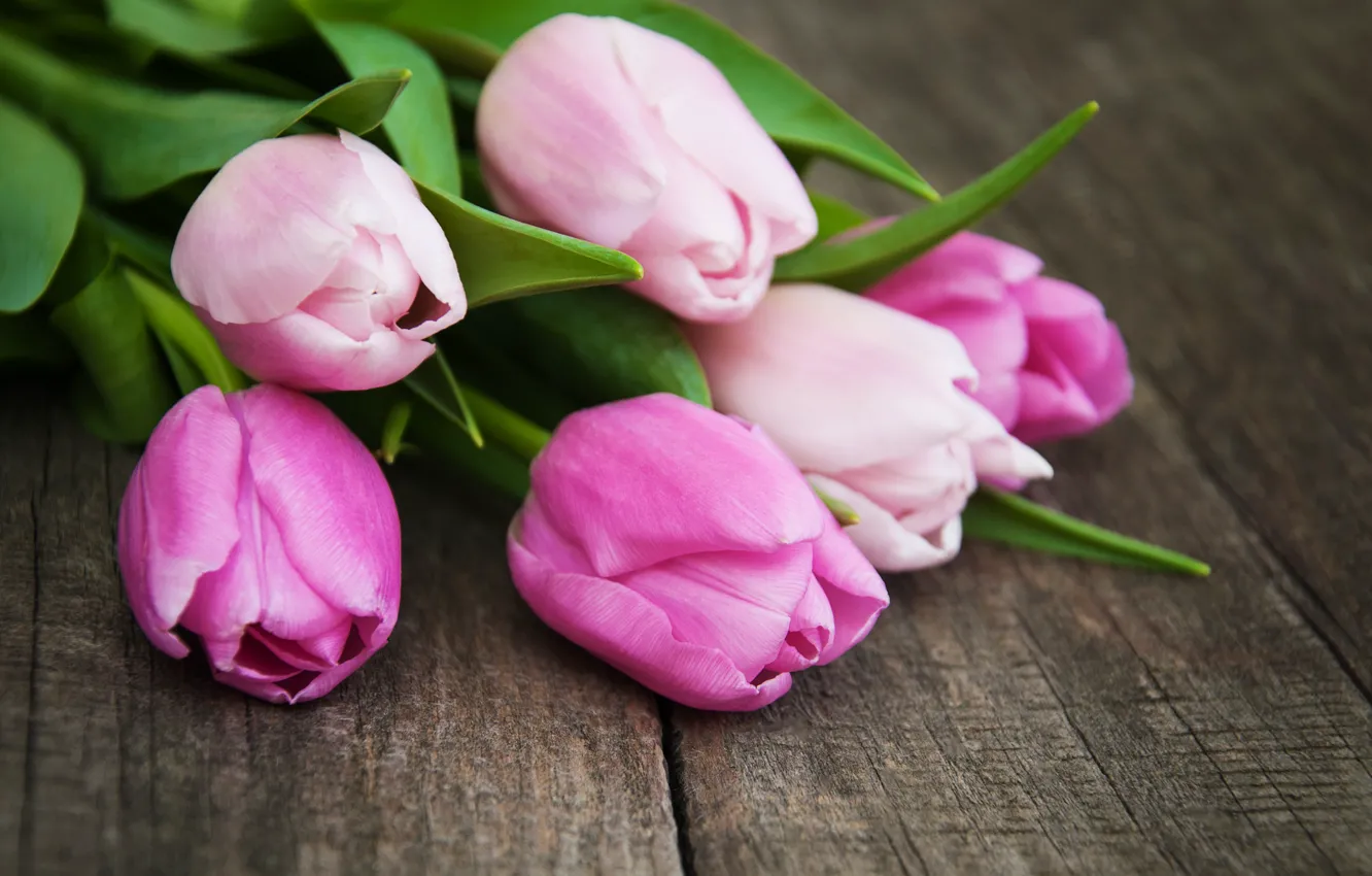 Photo wallpaper bouquet, tulips, Wood, pink, tulip