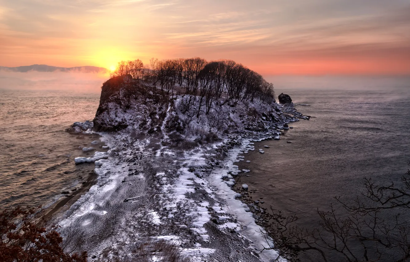 Photo wallpaper hielo, nibla, trees, sunset