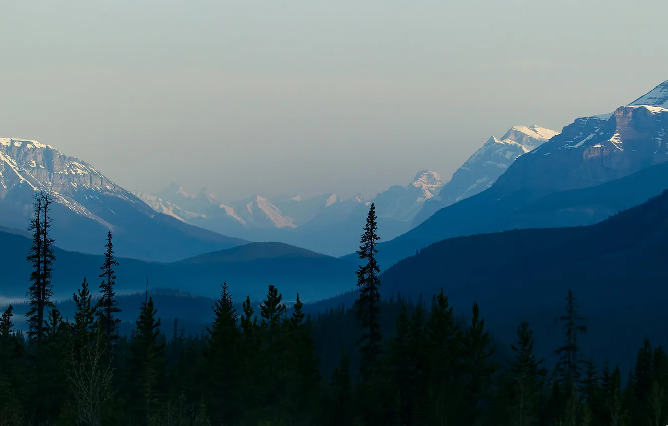 Photo wallpaper the sky, trees, mountains, nature, tops, spruce