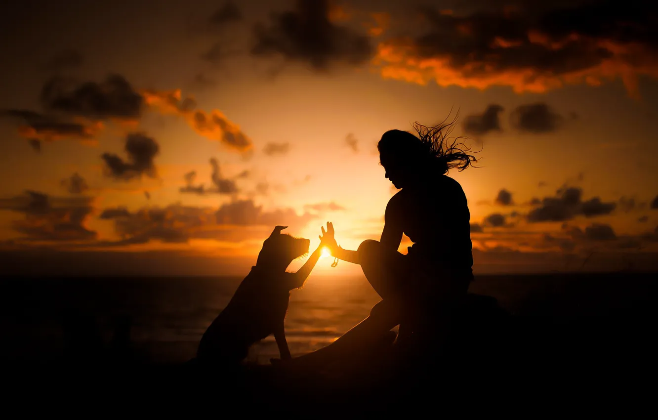 Photo wallpaper sunset, people, dog, friends