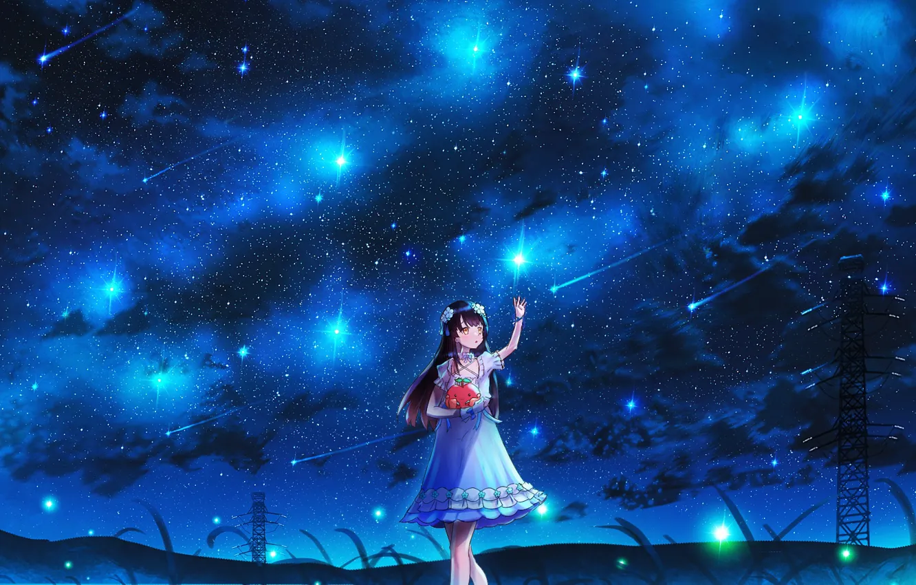 Photo wallpaper the sky, girl, night, toy, Starfall