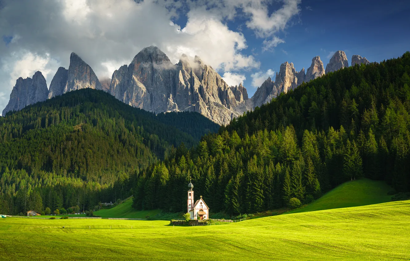 Photo wallpaper field, forest, the sky, clouds, light, mountains, rocks, tops