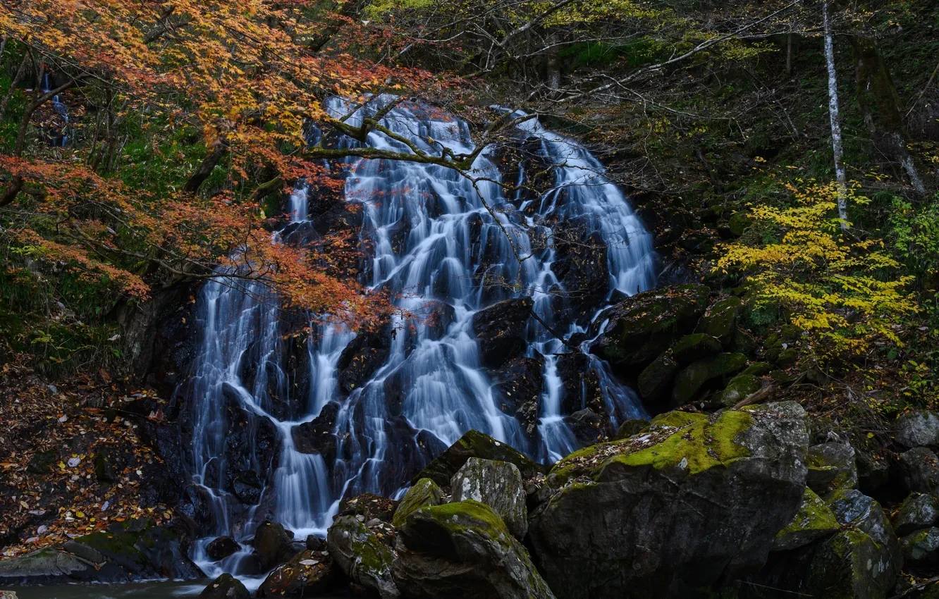 Photo wallpaper autumn, trees, stones, waterfall, Japan, cascade