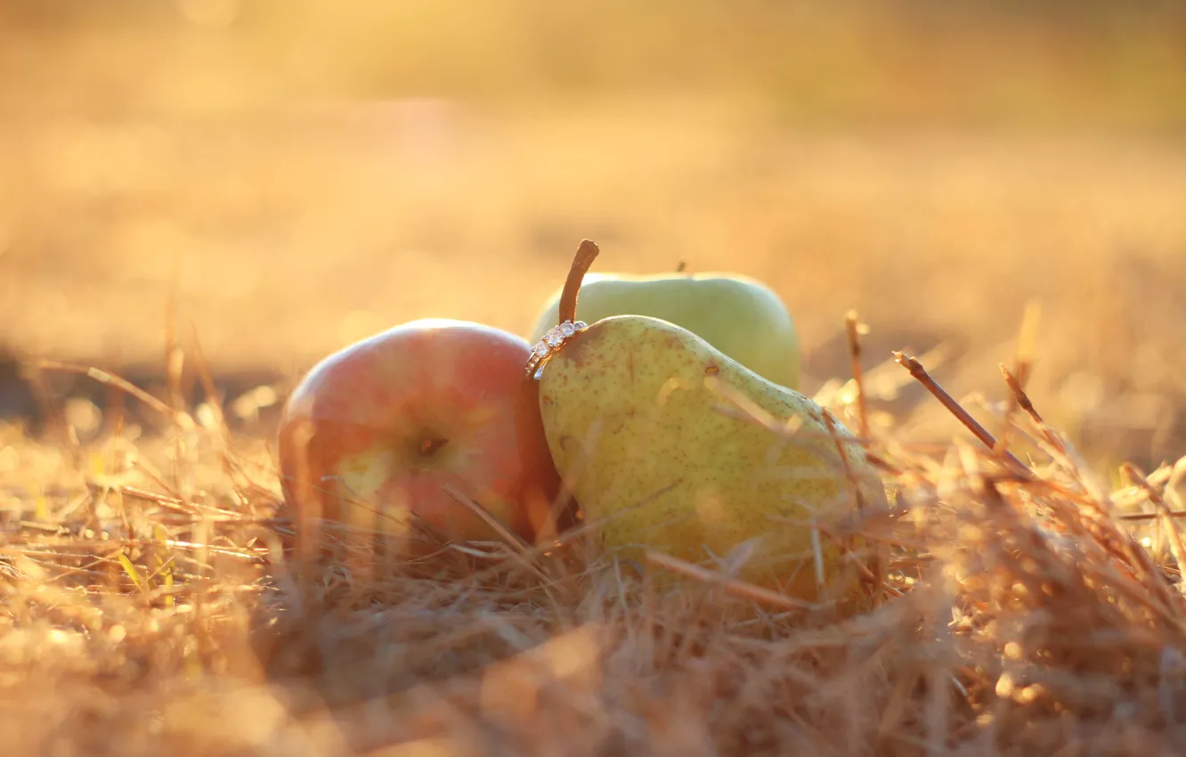 Photo wallpaper Apple, ring, pear