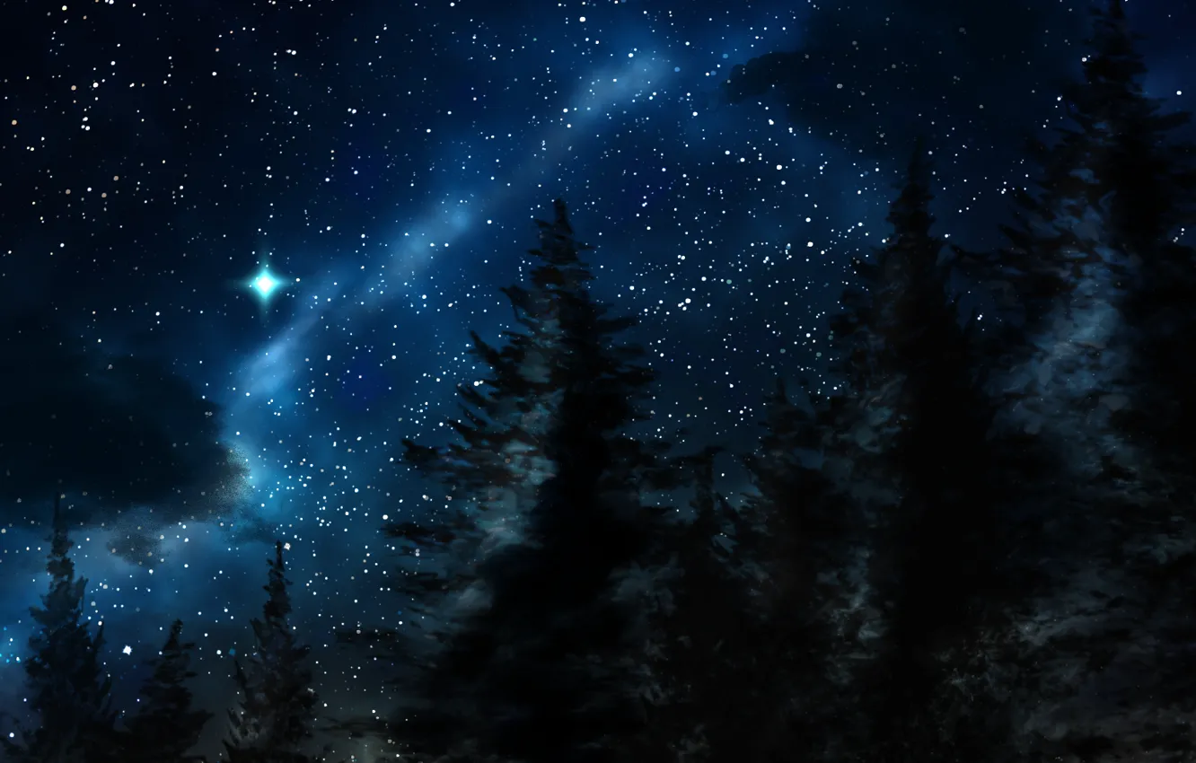 Photo wallpaper winter, night, nature, stars, Forest, tree