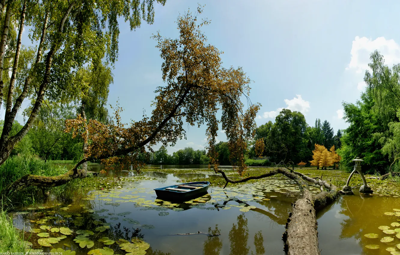 Photo wallpaper trees, lake, boat
