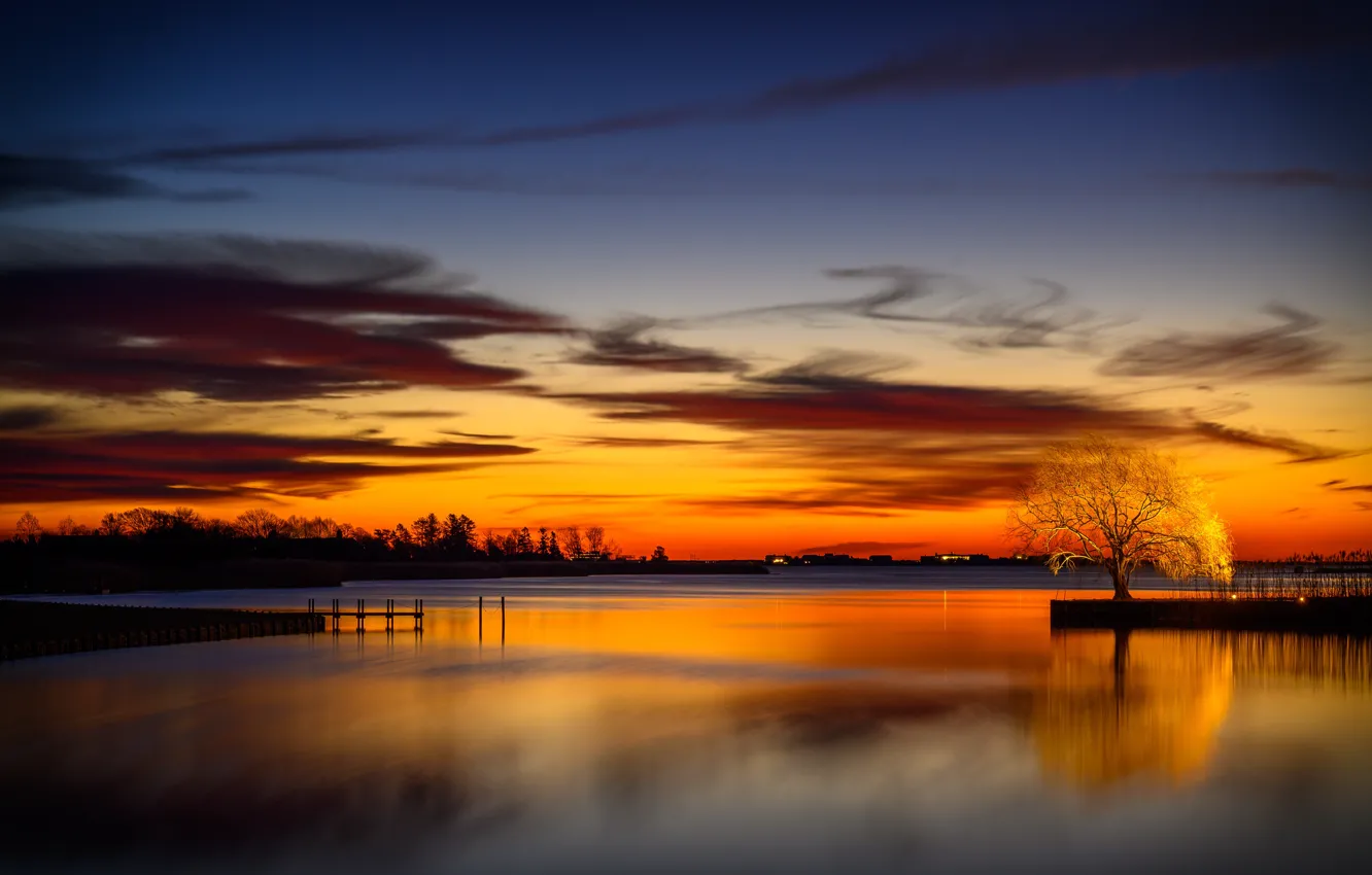 Photo wallpaper trees, night, lake
