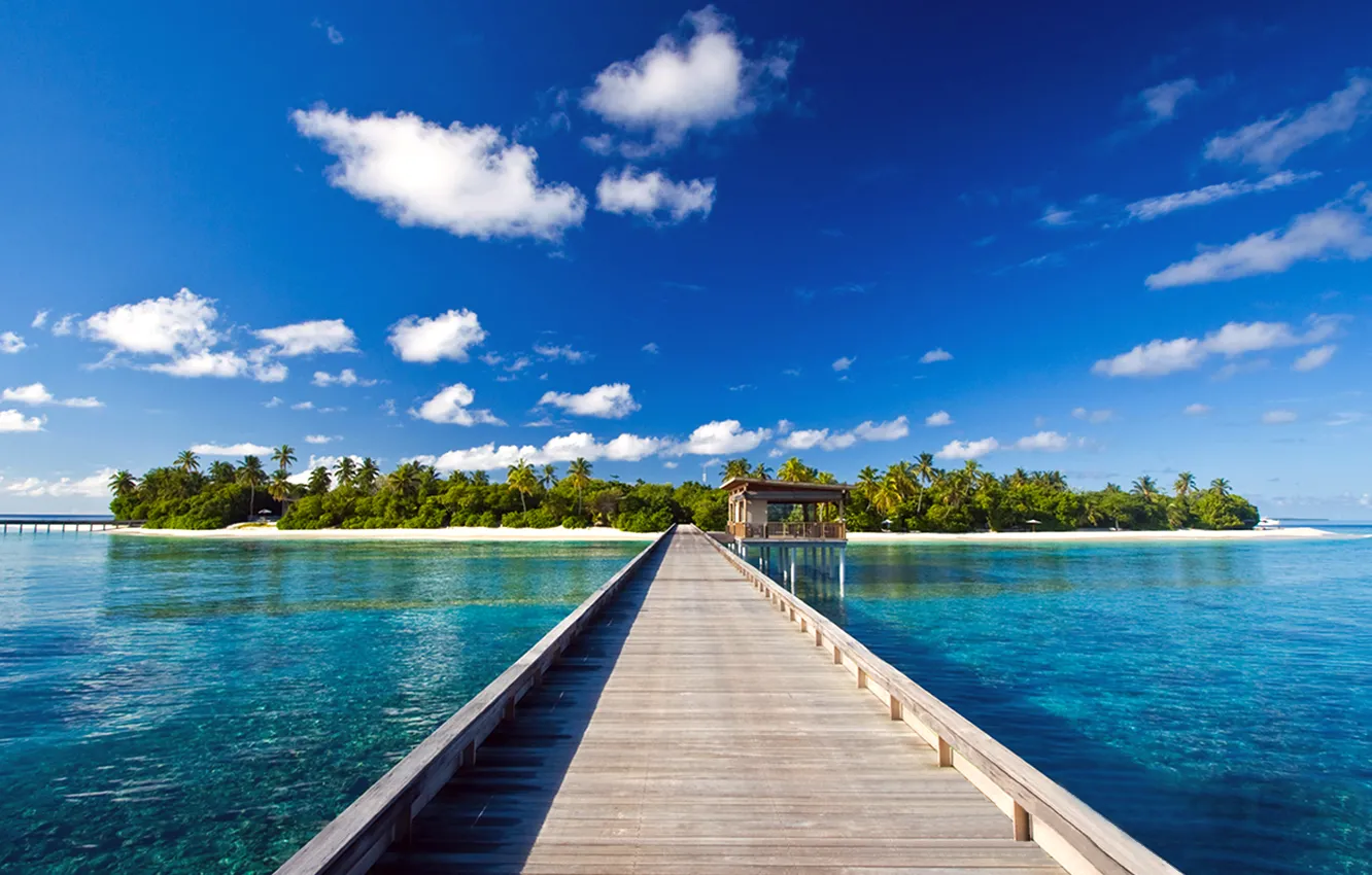 Photo wallpaper bridge, palm trees, the ocean, island