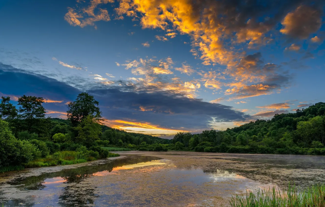 Photo wallpaper the sky, landscape, nature