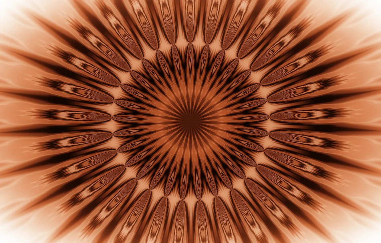 Photo wallpaper flowers, pattern, outlet