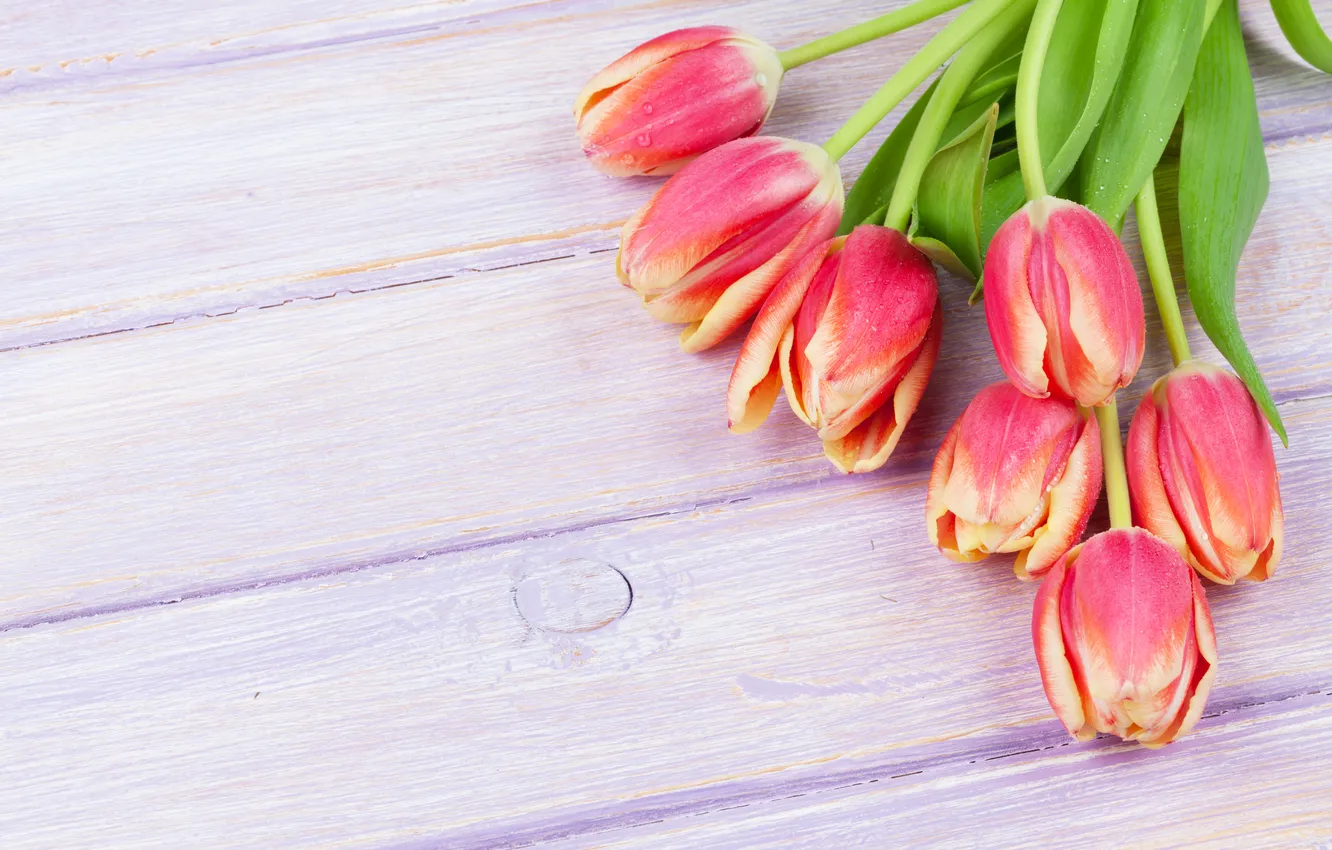 Photo wallpaper flowers, bouquet, tulips, wood, flowers, tulips, spring, bouquet