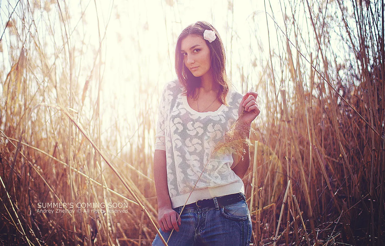 Photo wallpaper look, flowers, beauty, photographer, in the field, face, Martin Brest, summer is coming