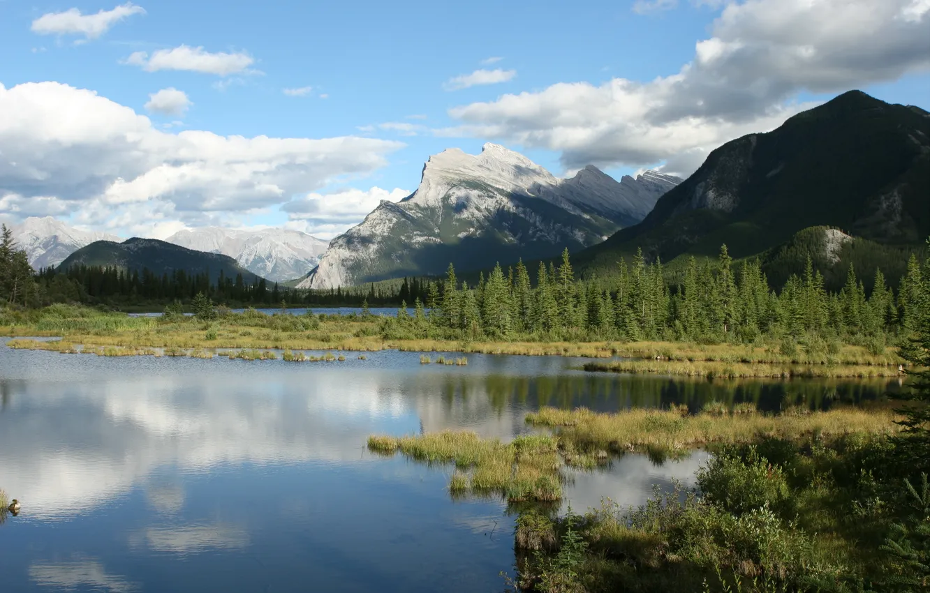 Photo wallpaper the sky, trees, mountains, lake, dal, horizon