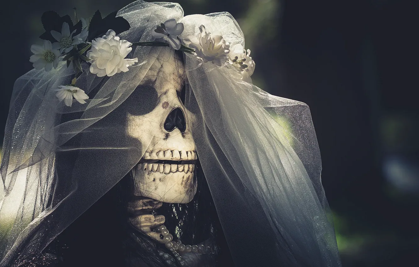 Photo wallpaper skull, the bride, veil