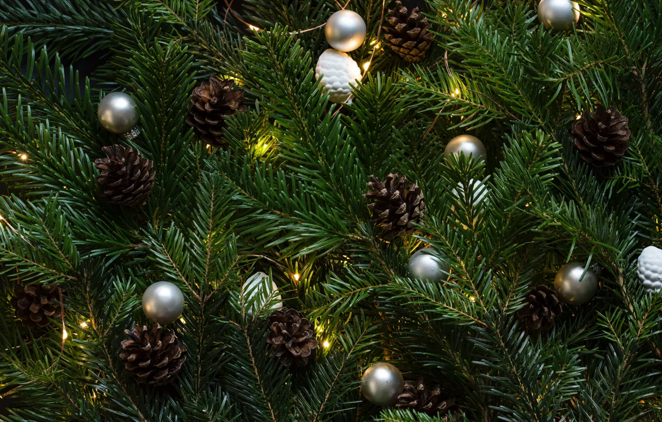 Photo wallpaper green, christmas tree, christmas lights