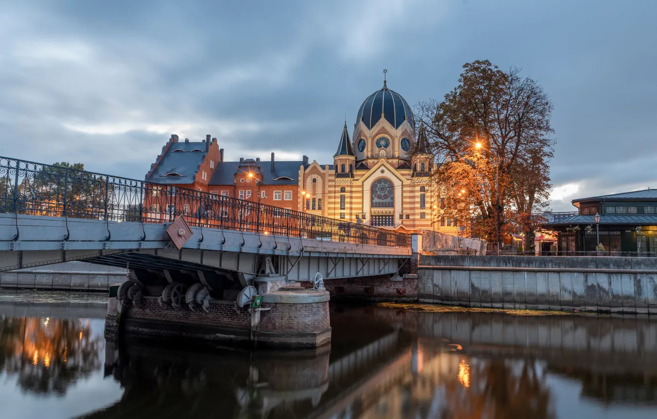 Photo wallpaper Kaliningrad, synagogue, Sergey Gazizov, Konigsberg
