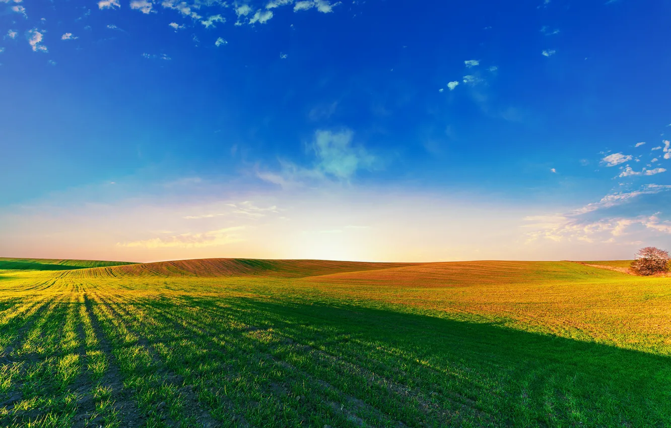 Photo wallpaper field, the sky, grass, the sun, space