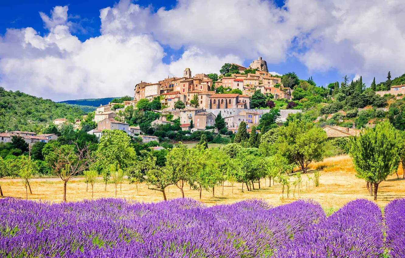 Photo wallpaper France, lavender, plantation, Provence, Simian-La-Rotonde