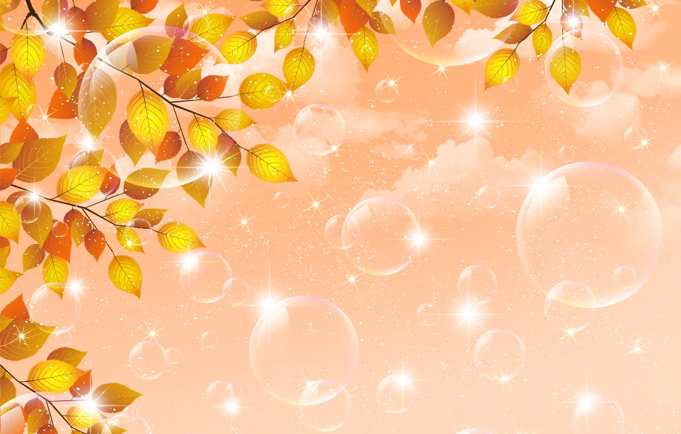 Photo wallpaper autumn, leaves, bubbles, sprig, Shine, bubbles, autumn, leaves