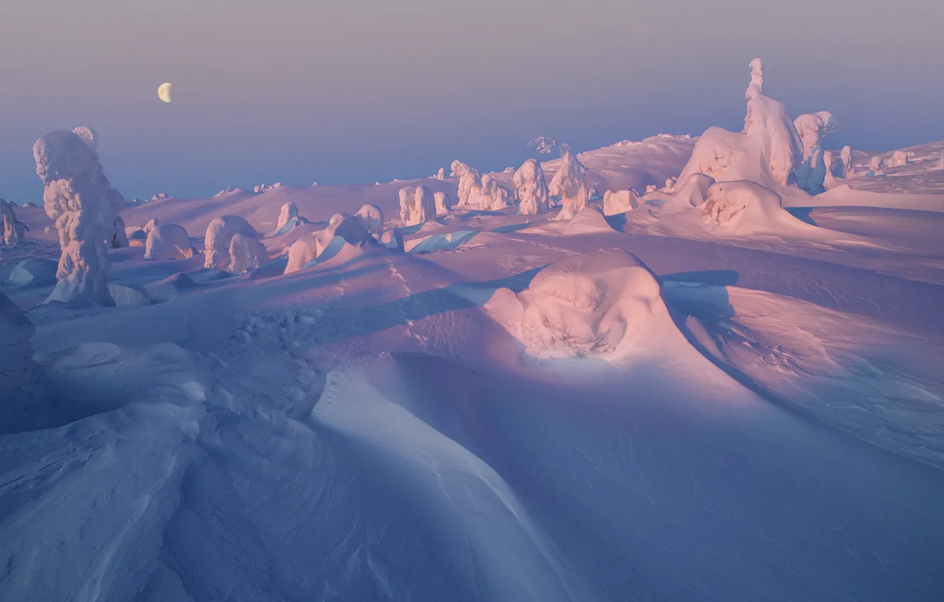 Photo wallpaper winter, snow, trees, landscape, nature, the moon, morning, hills