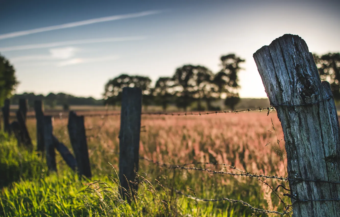 Photo wallpaper field, the sky, grass, the sun, clouds, trees, the fence, wire