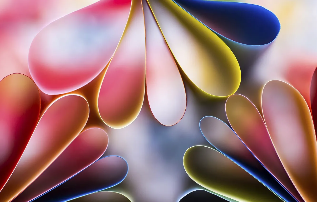 Photo wallpaper line, paper, color