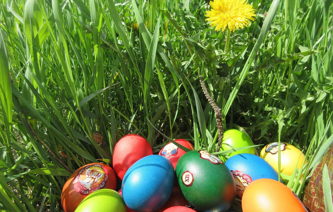 Photo wallpaper grass, eggs, Easter, spring 2018, meduzanol ©