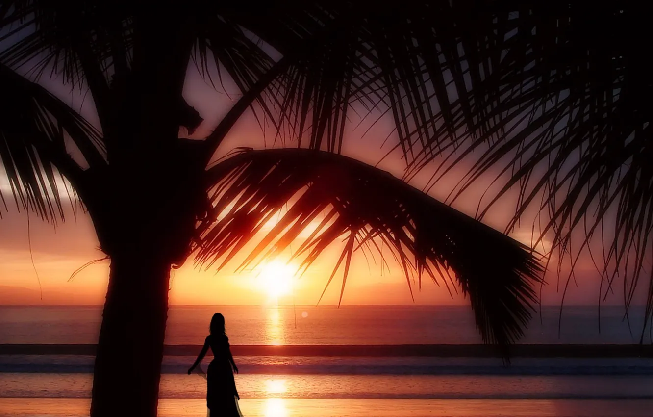 Photo wallpaper beach, girl, sunset, palm trees, the ocean, the evening, silhouette