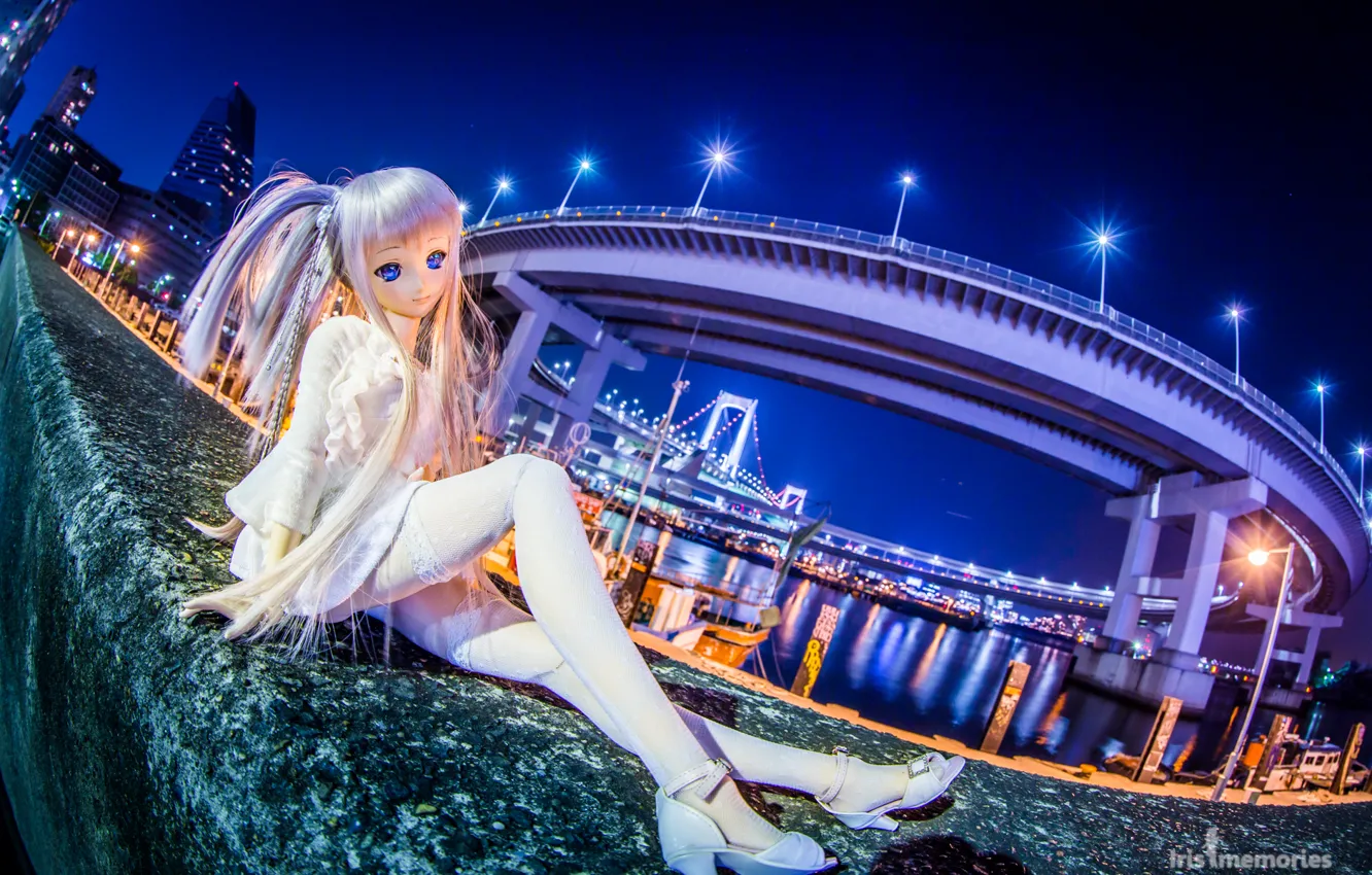 Photo wallpaper toy, doll, bridges, night city, promenade