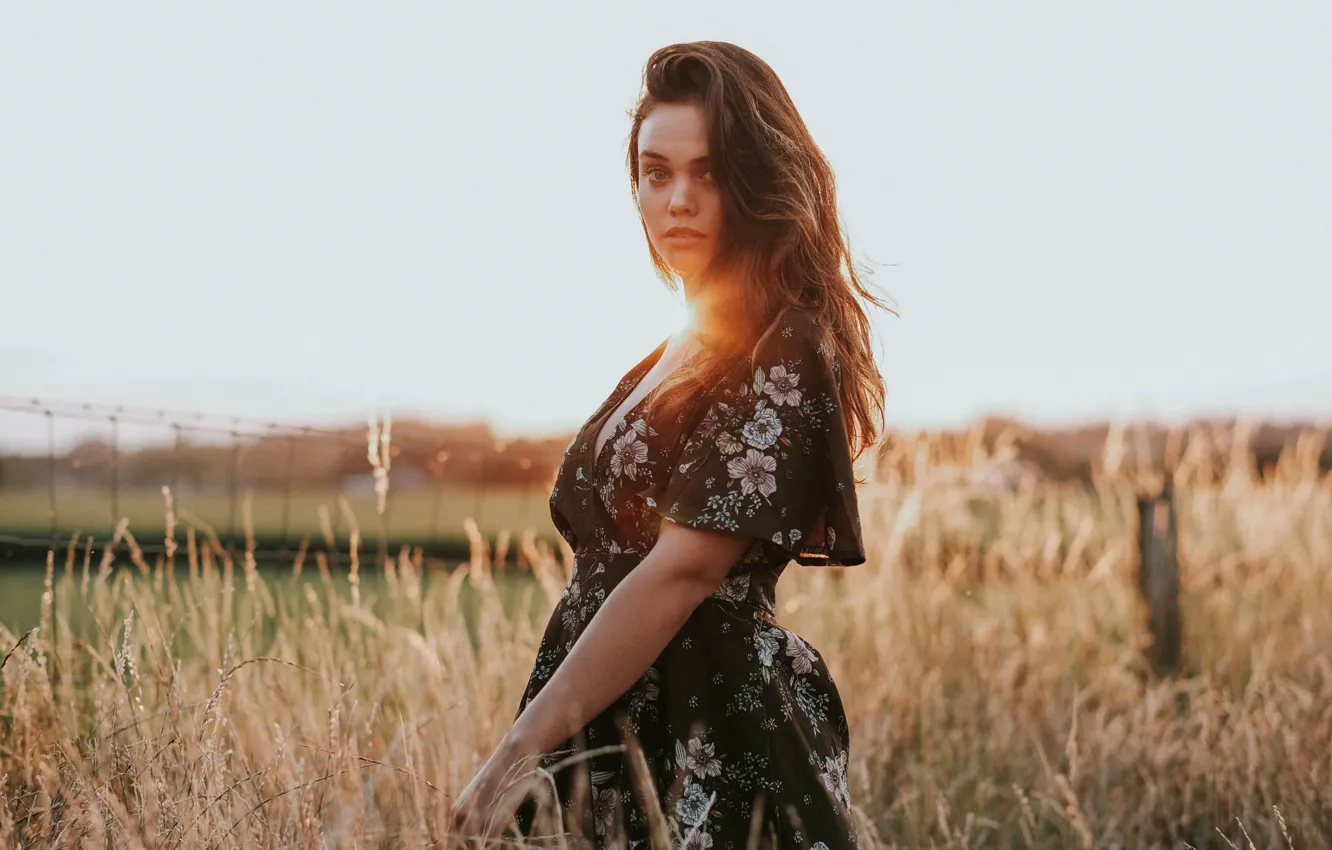 Photo wallpaper grass, look, the sun, pose, model, portrait, makeup, dress