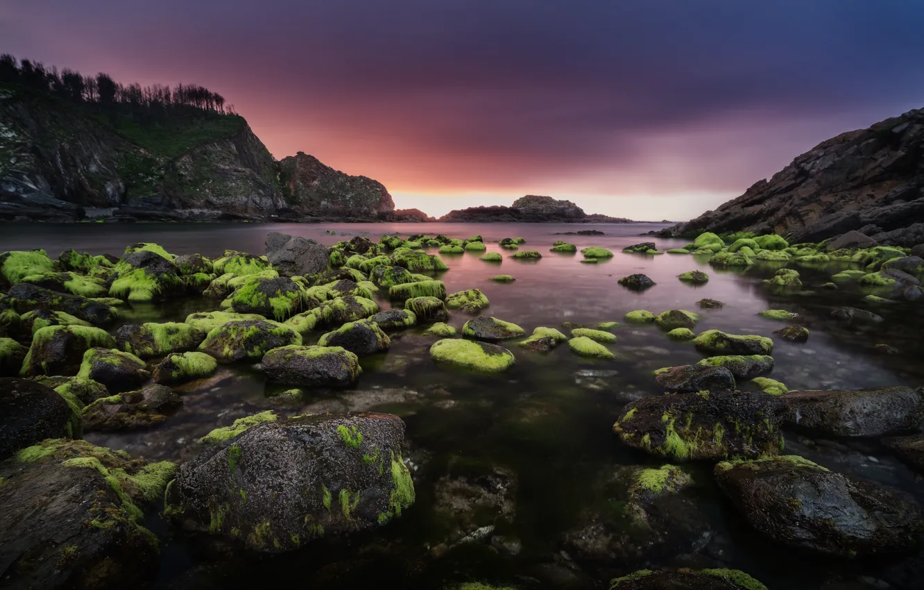 Photo wallpaper sea, clouds, algae, sunset, mountains, green, stones, rocks
