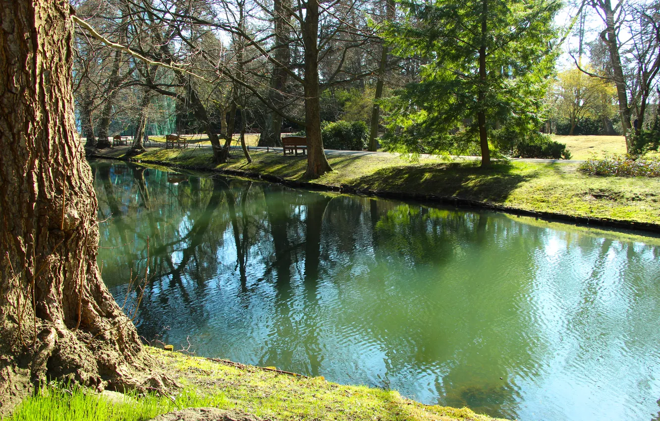 Photo wallpaper water, park, lake, pond