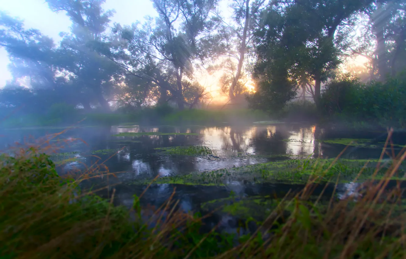 Photo wallpaper rays, fog, river, dawn, morning