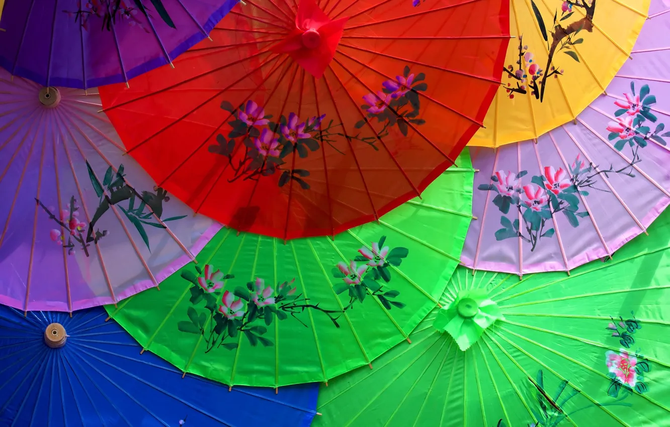 Photo wallpaper flowers, umbrella, pattern, China, Asia, Japan, umbrella