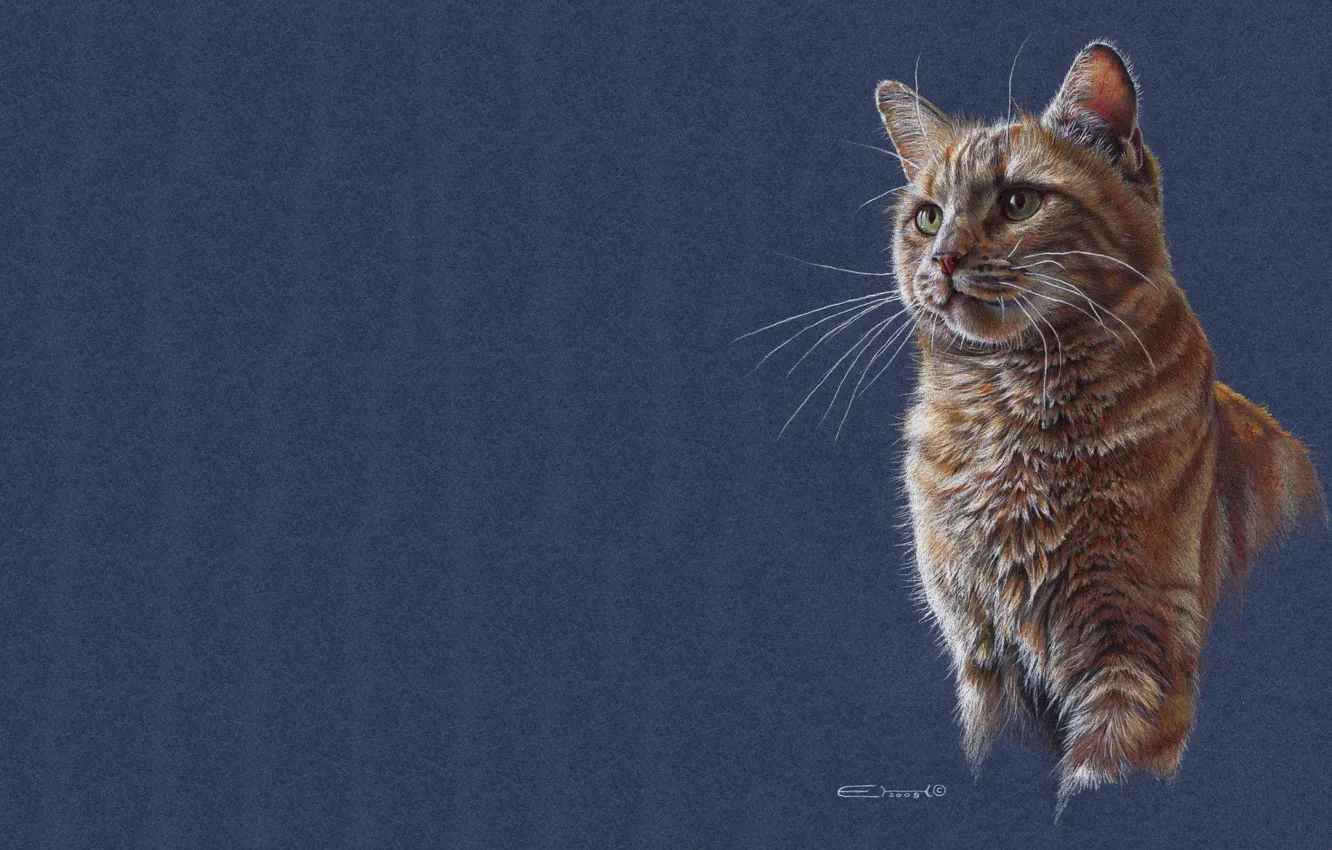 Photo wallpaper cat, cat, figure, art