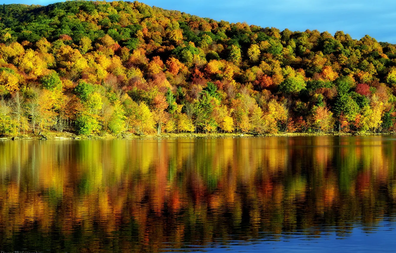 Photo wallpaper autumn, water, trees, reflection, beauty, time of the year, landscape. nature
