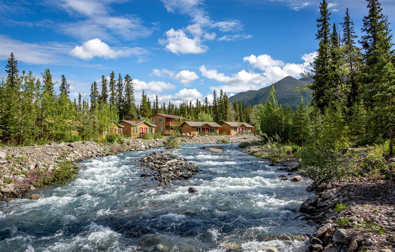 Photo wallpaper forest, the sky, clouds, trees, mountains, stream, stones, for