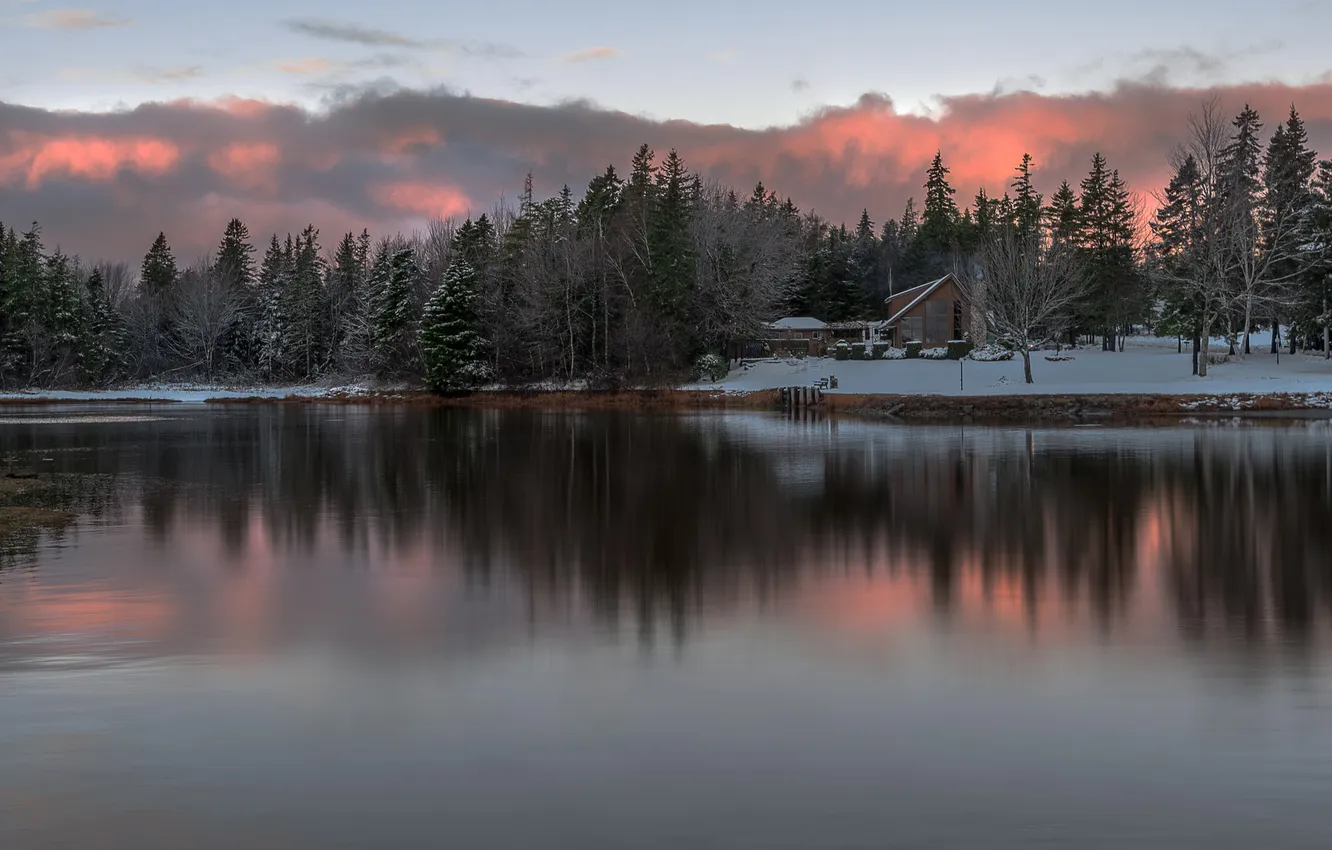 Photo wallpaper winter, snow, trees, river, river, trees, winter, snow