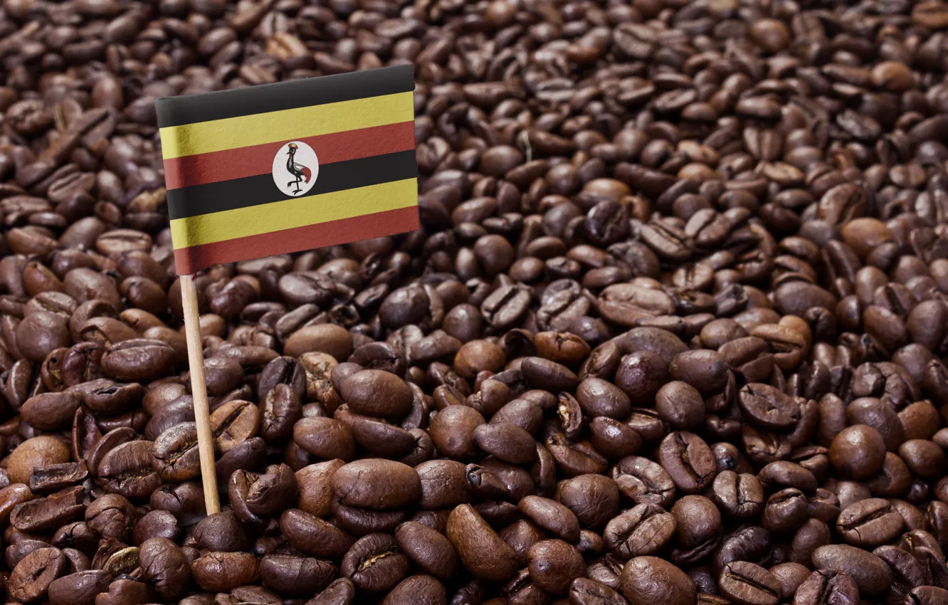 Photo wallpaper flag, stick, beans, coffee