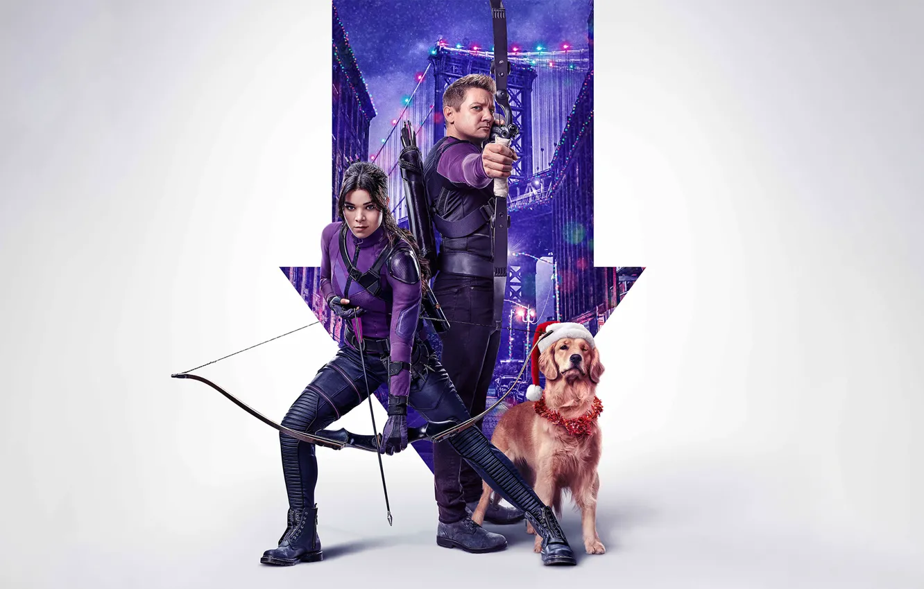 Photo wallpaper dog, Marvel, Hawkeye, Marvel, Hailee Steinfeld, Hawkeye, Jeremy Lee Renner, Clint Barton