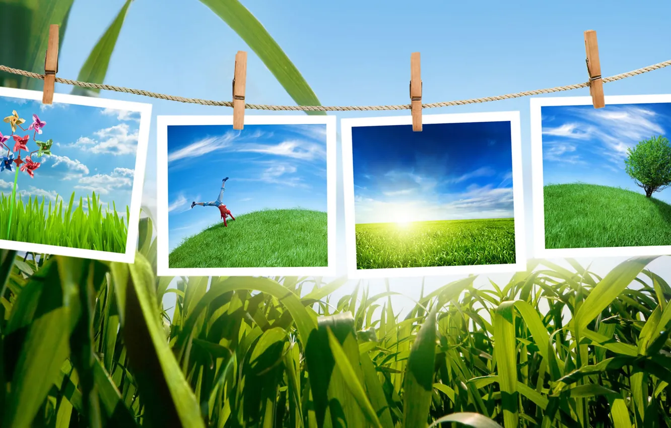 Photo wallpaper grass, nature, collage, in the photos