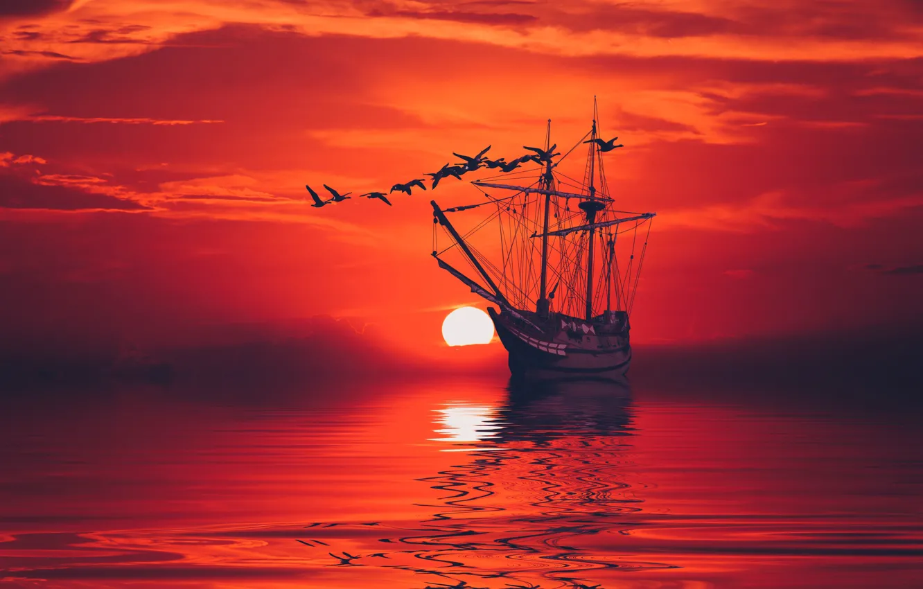 Photo wallpaper sea, the sky, surface, bird, ship, calm