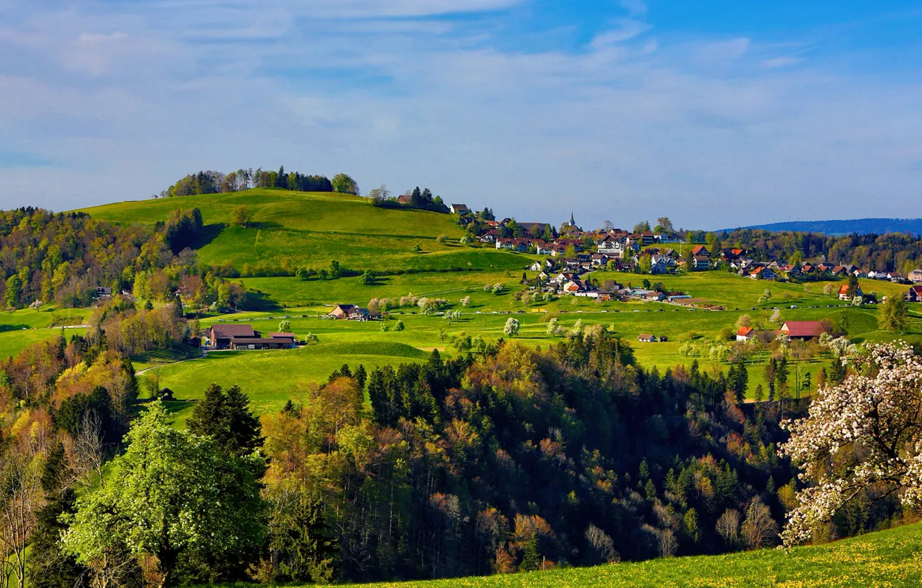 Photo wallpaper the sky, grass, trees, hills, home