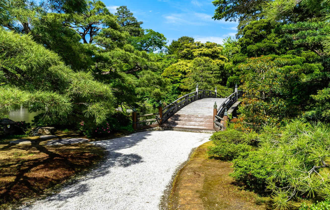Photo wallpaper bridge, nature, Park, Japan, track, Kyoto