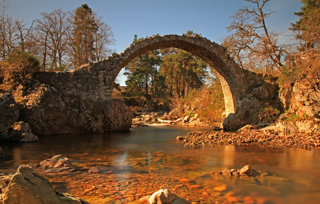 Photo wallpaper bridge, nature, river