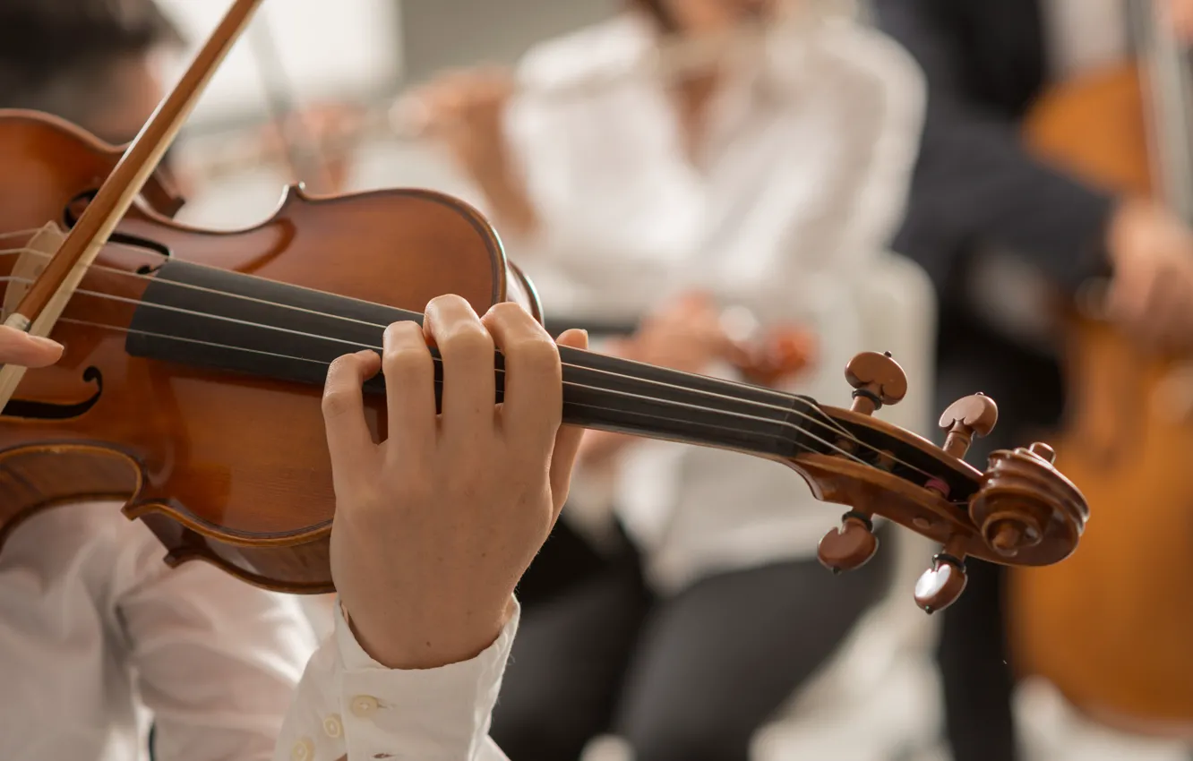 Photo wallpaper violin, strings, musician, orchestra