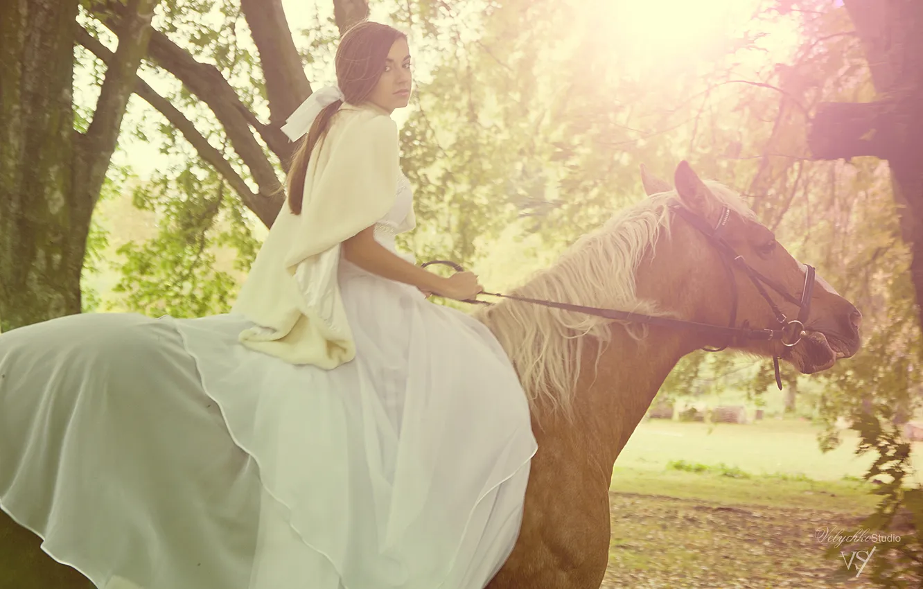 Photo wallpaper autumn, forest, summer, girl, light, trees, love, Park